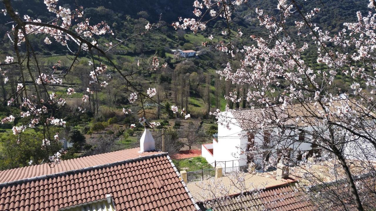Benamahoma Rural Apartment Екстериор снимка